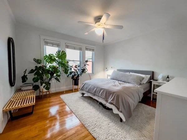 2 bed, 1 bath apartment for rent at 23 Goldsmith St Unit 3, Jamaica Plain — photo 21 of 30