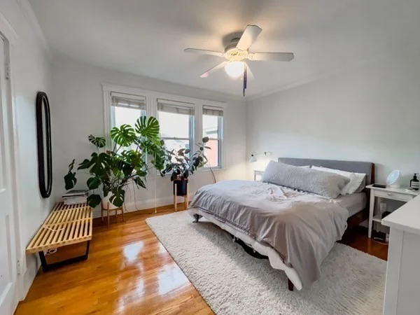 2 bed, 1 bath apartment for rent at 23 Goldsmith St Unit 3, Jamaica Plain — photo 20 of 30