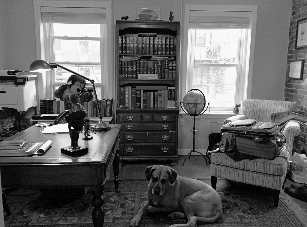 2 bed, 1 bath apartment for rent at 23 Hanson St Unit 1, South End — photo 5 of 20