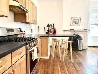 5 bed, 2 bath apartment for rent at 23 Monmouth St Unit 1, Spring Hill — photo 5 of 23