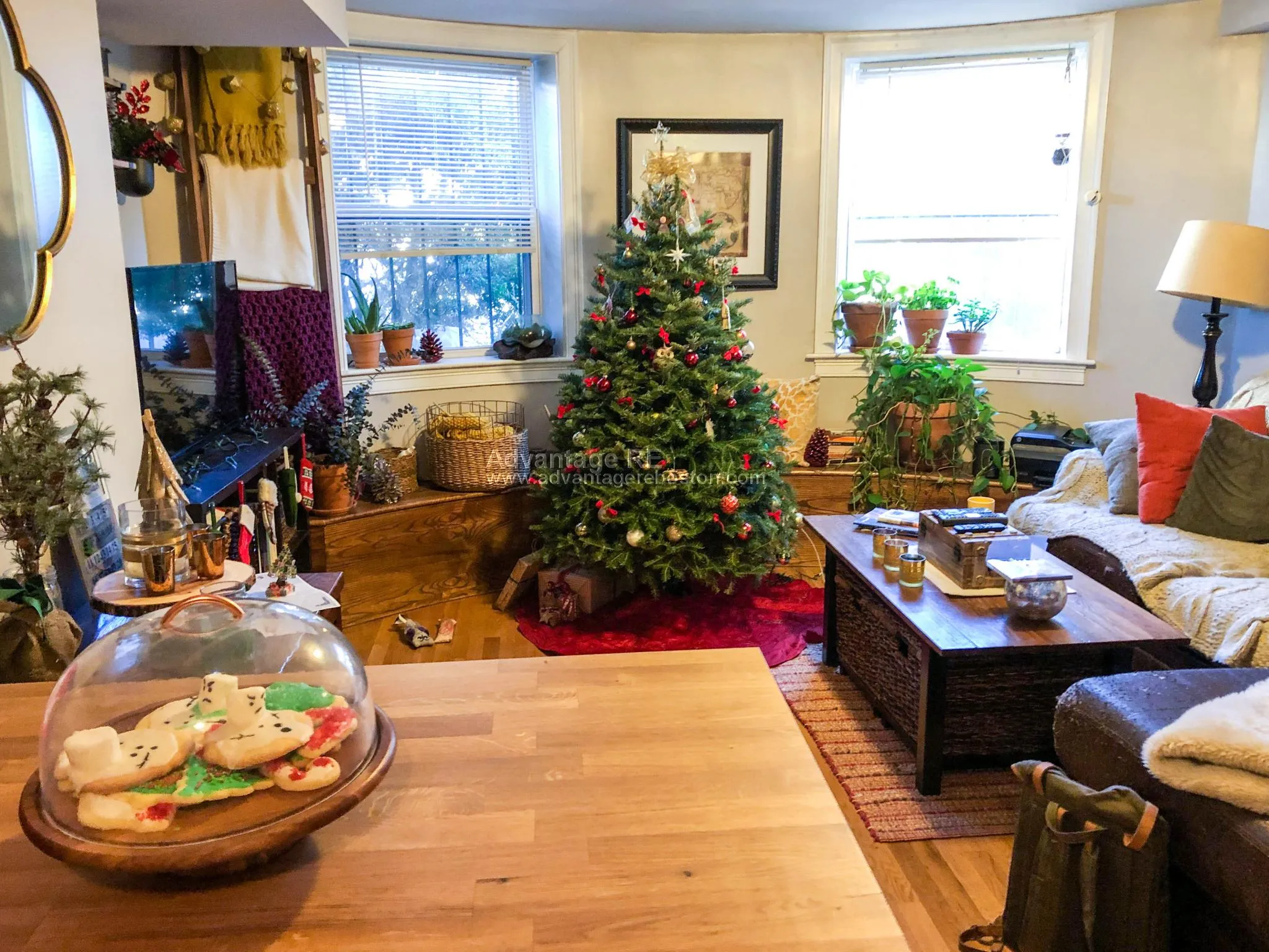 2 bed, 1 bath apartment for rent at 23 Saint Lukes Rd Unit 1, Brighton — photo 3 of 14