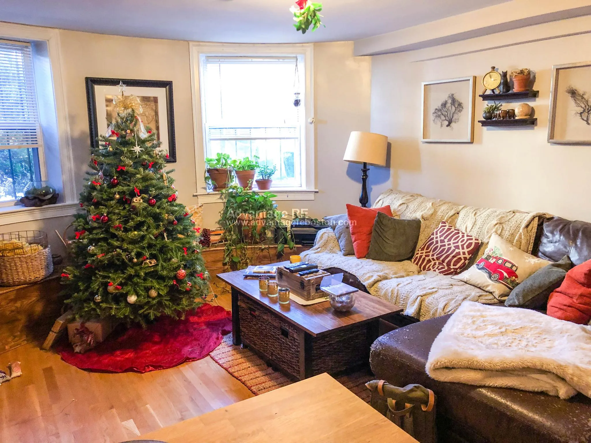 2 bed, 1 bath apartment for rent at 23 Saint Lukes Rd Unit 1, Brighton — photo 4 of 14