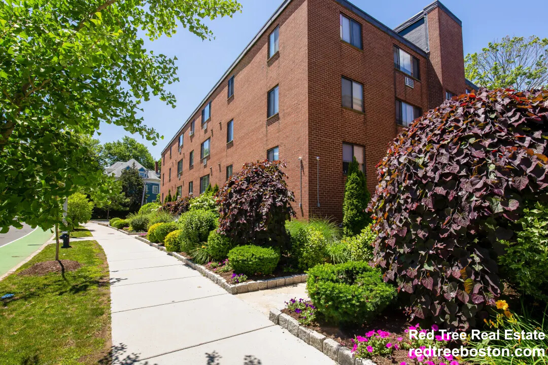 Studio bed, 1 bath apartment for rent at 230 Babcock St Unit 1F, North Brookline — photo 3 of 4