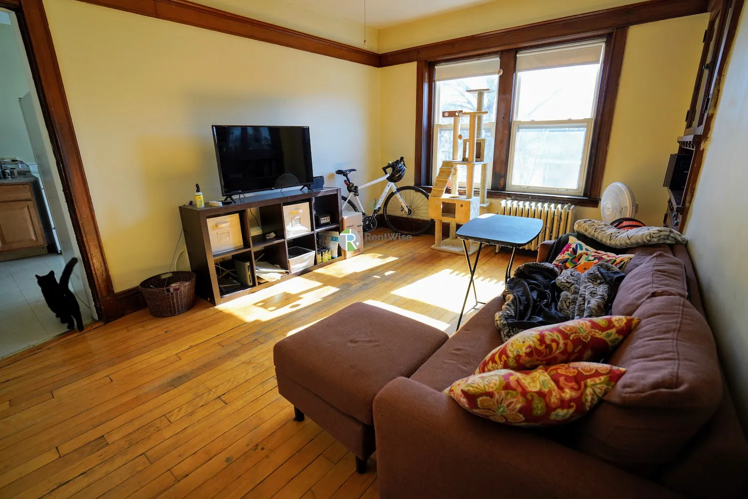 3 bed, 1 bath apartment for rent at 230 South St Unit 6, Jamaica Plain — photo 2 of 12
