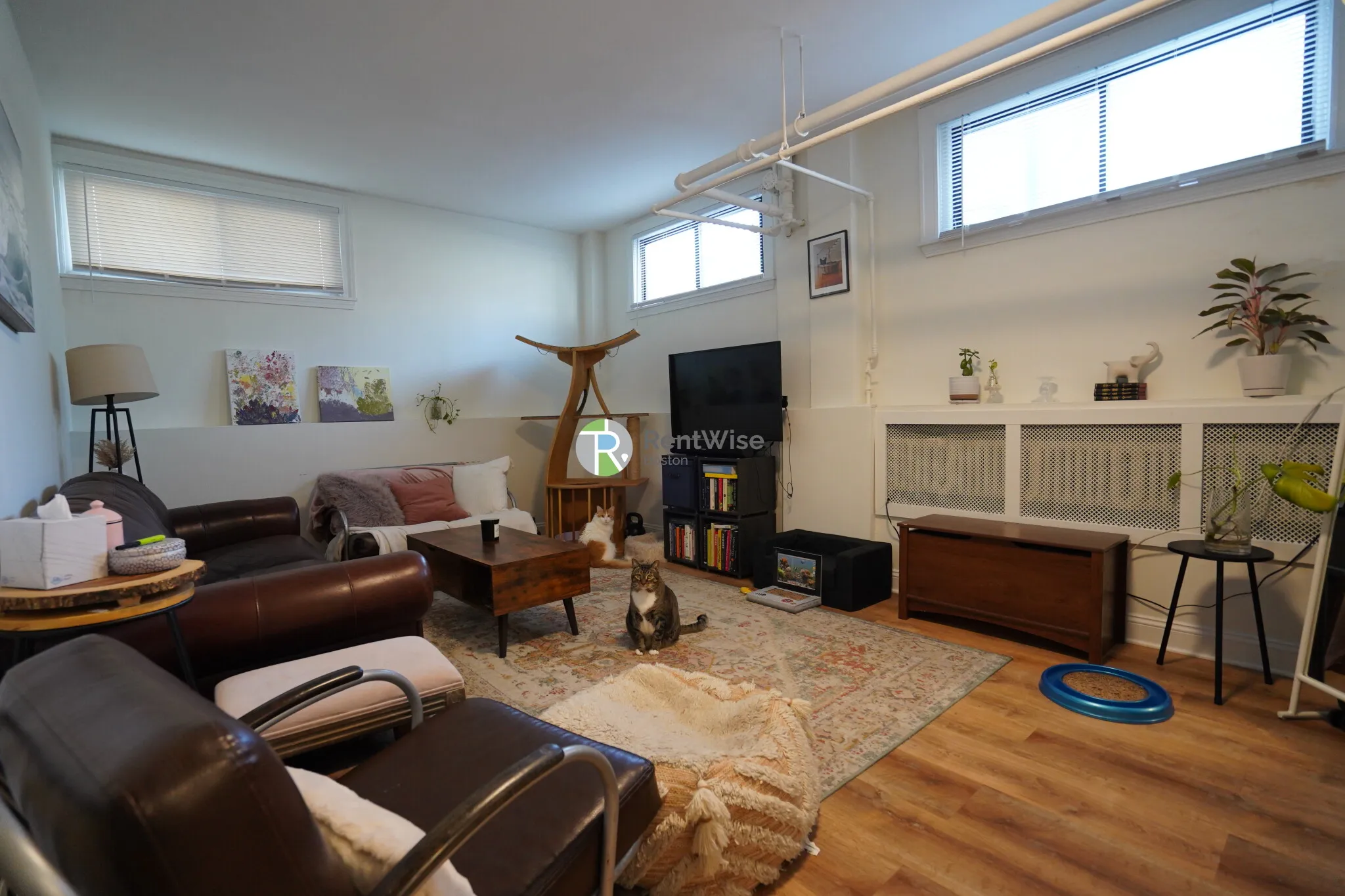 2 bed, 1 bath apartment for rent at 230 Walnut St Unit 20A, Newtonville — photo 1 of 20