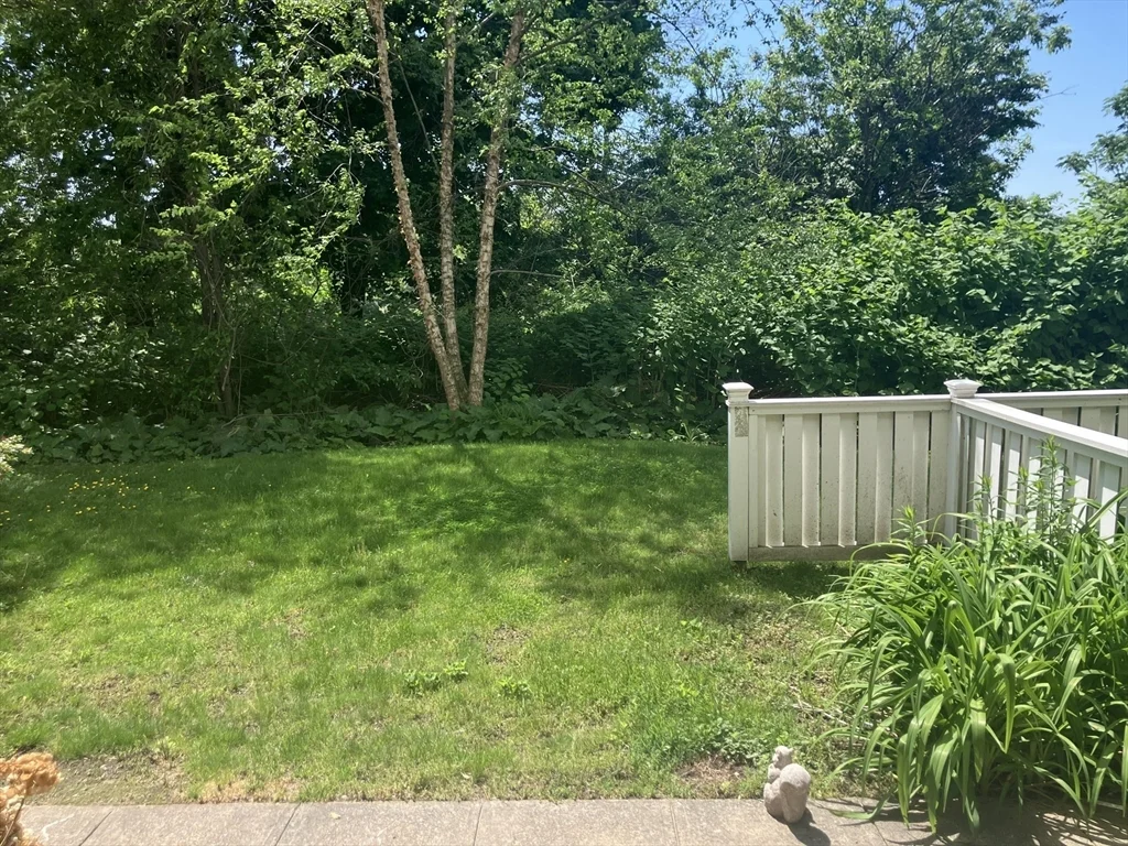 1 bed, 1 bath apartment for rent at 231 Coolidge Ave Unit 401, East Watertown — photo 11 of 18