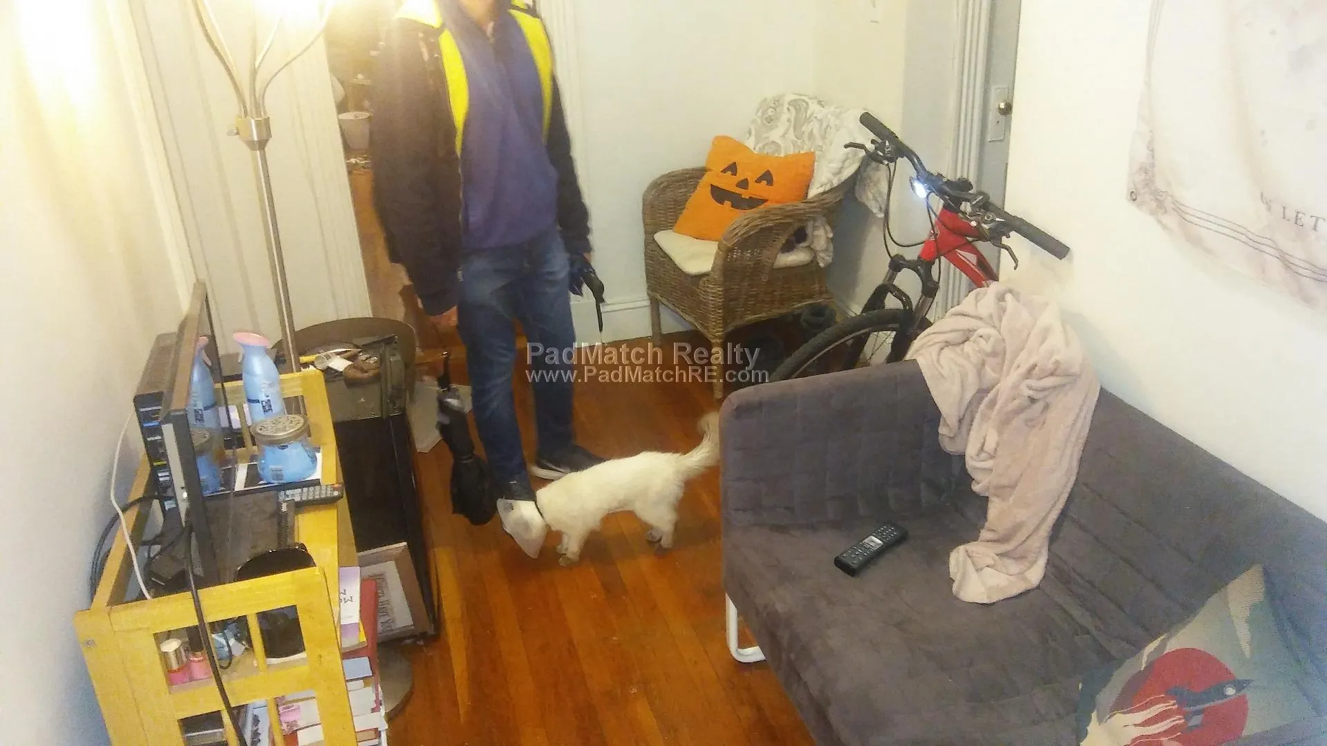 1 split bed, 1 bath apartment for rent at 231 Park Dr Unit 15, Fenway — photo 7 of 15