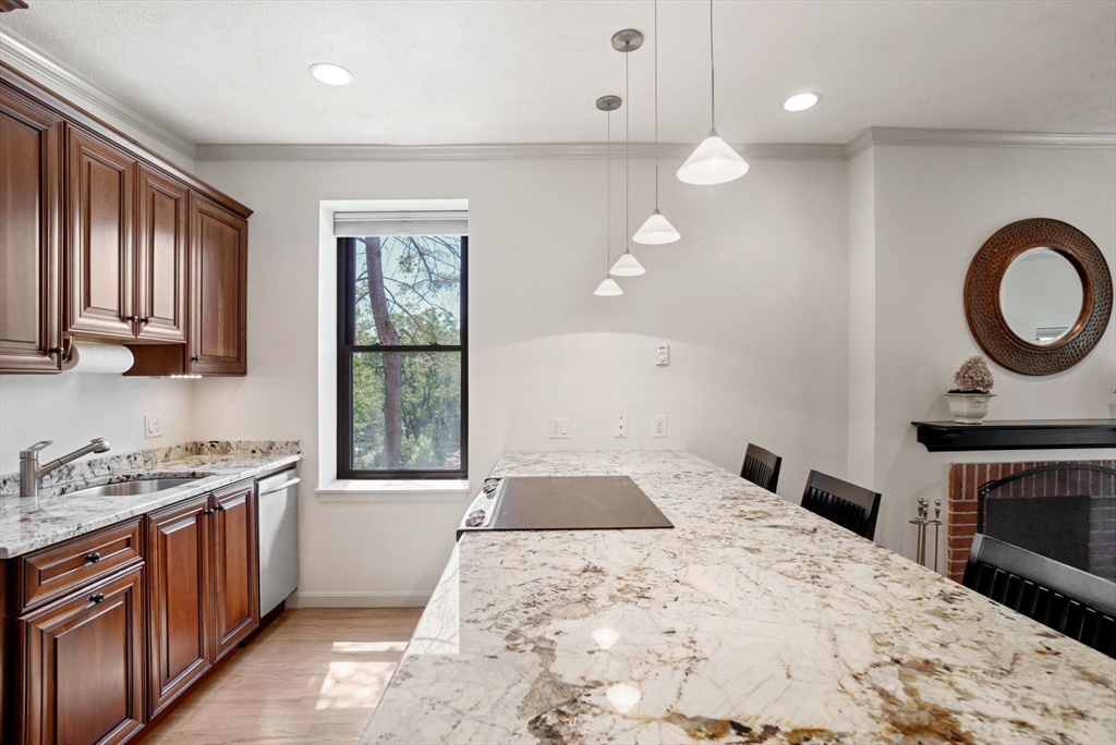 1 bed, 1 bath apartment for rent at 231 West Newton Unit 4, Back Bay — photo 3 of 16