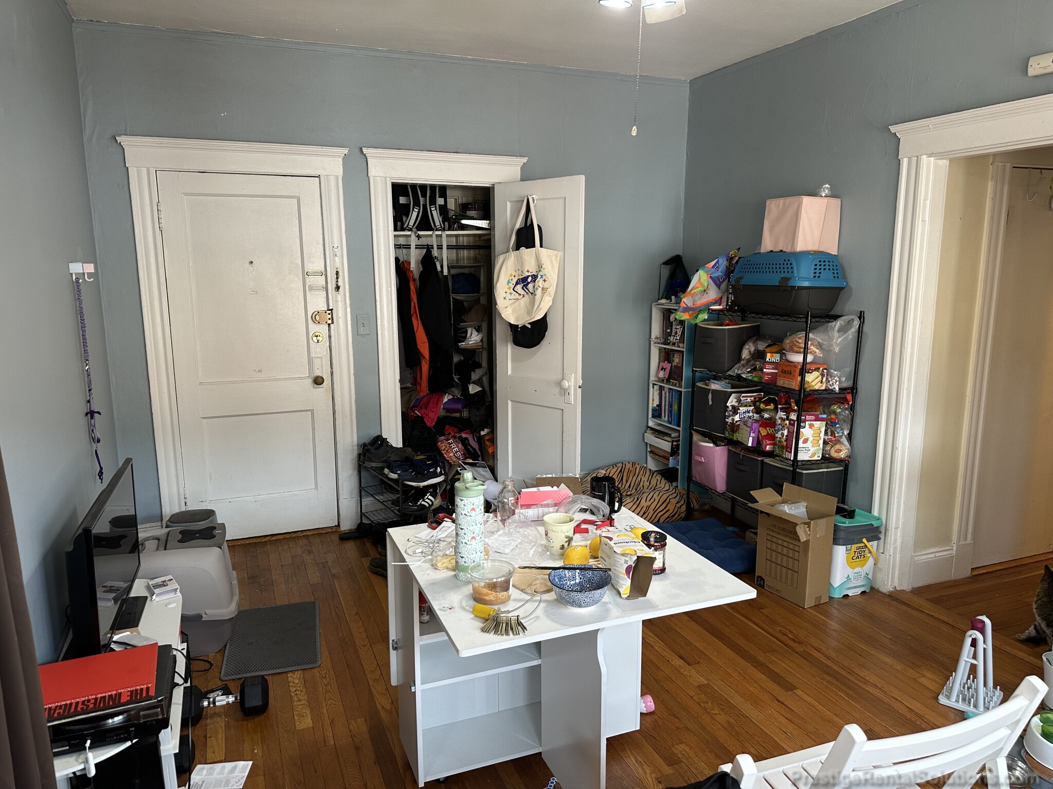 1 bed, 1 bath apartment for rent at 232 Kelton St Unit 17, Allston — photo 2 of 14