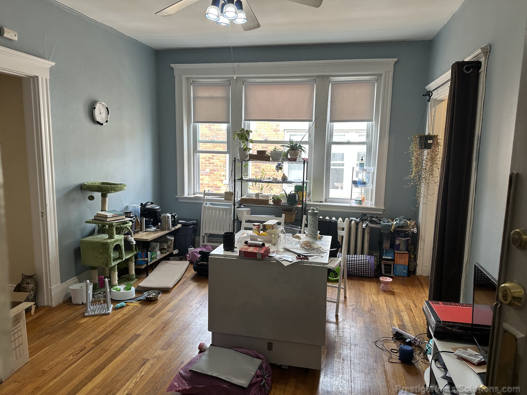 1 bed, 1 bath apartment for rent at 232 Kelton St Unit 17, Allston — photo 1 of 14