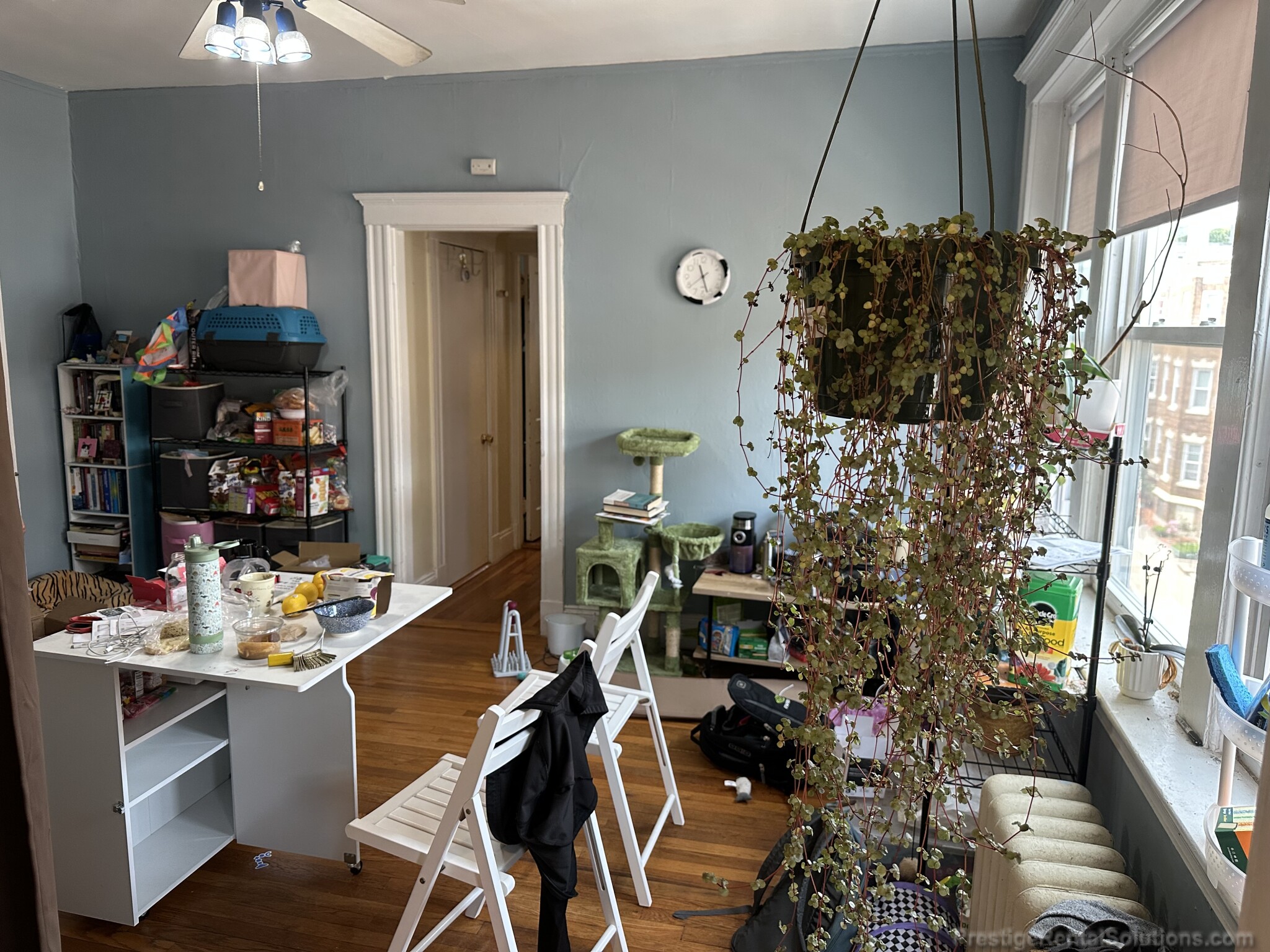 1 bed, 1 bath apartment for rent at 232 Kelton St Unit 17, Allston — photo 5 of 14