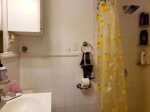6 bed, 2 bath apartment for rent at 233-235 Commonwealth Ave Unit 1, Chestnut Hill — photo 28 of 28