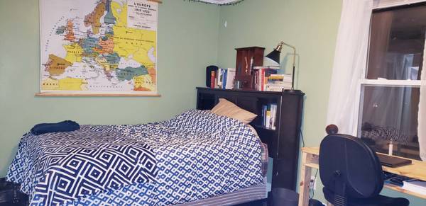 6 bed, 2 bath apartment for rent at 233-235 Commonwealth Ave Unit 1, Chestnut Hill — photo 11 of 28