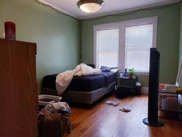 6 bed, 2 bath apartment for rent at 233-235 Commonwealth Ave Unit 2, Chestnut Hill — photo 23 of 28