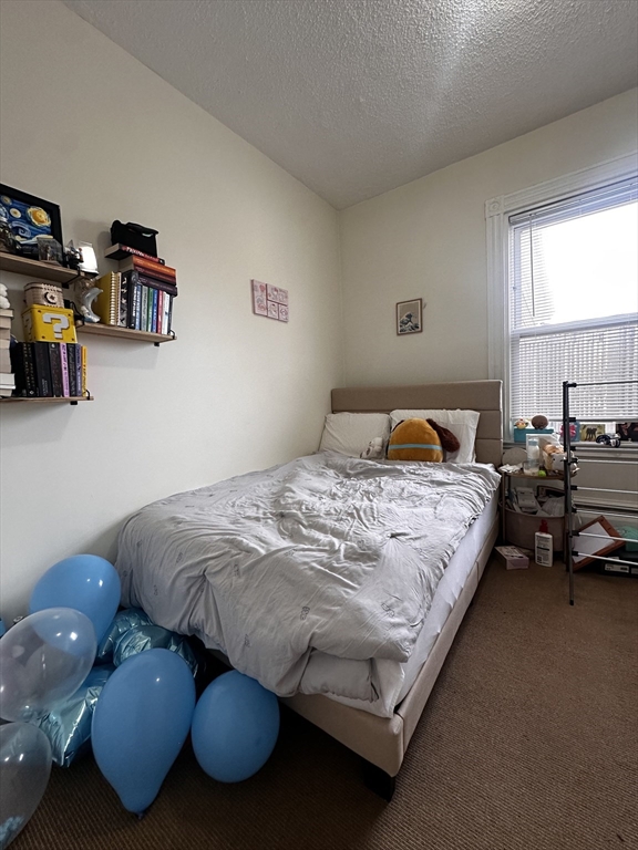 3 bed, 1 bath apartment for rent at 233 Charles St Unit 3, East Cambridge — photo 8 of 15