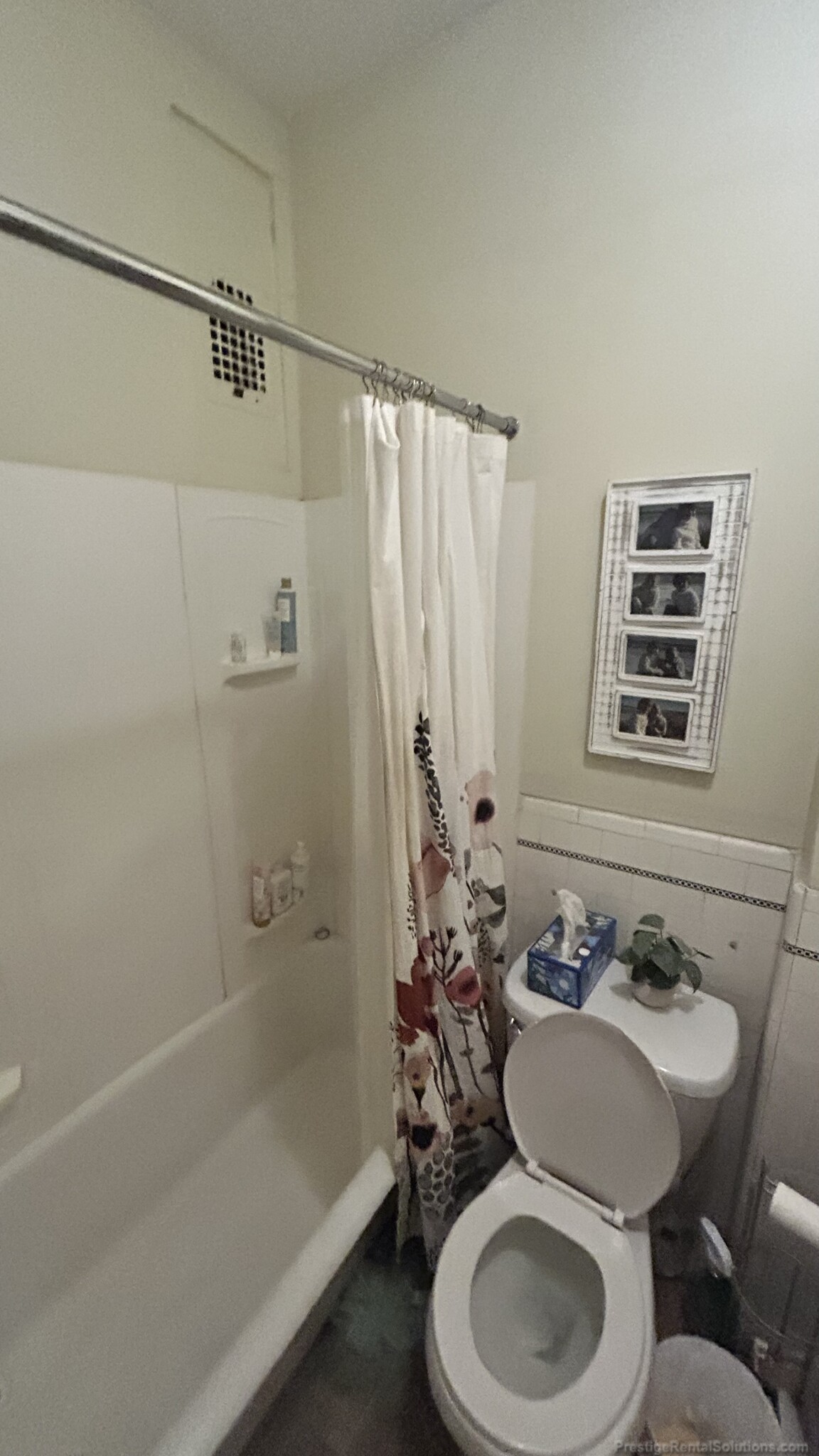 1 bed, 1 bath apartment for rent at 233 Essex St Unit 4, Melrose — photo 7 of 19