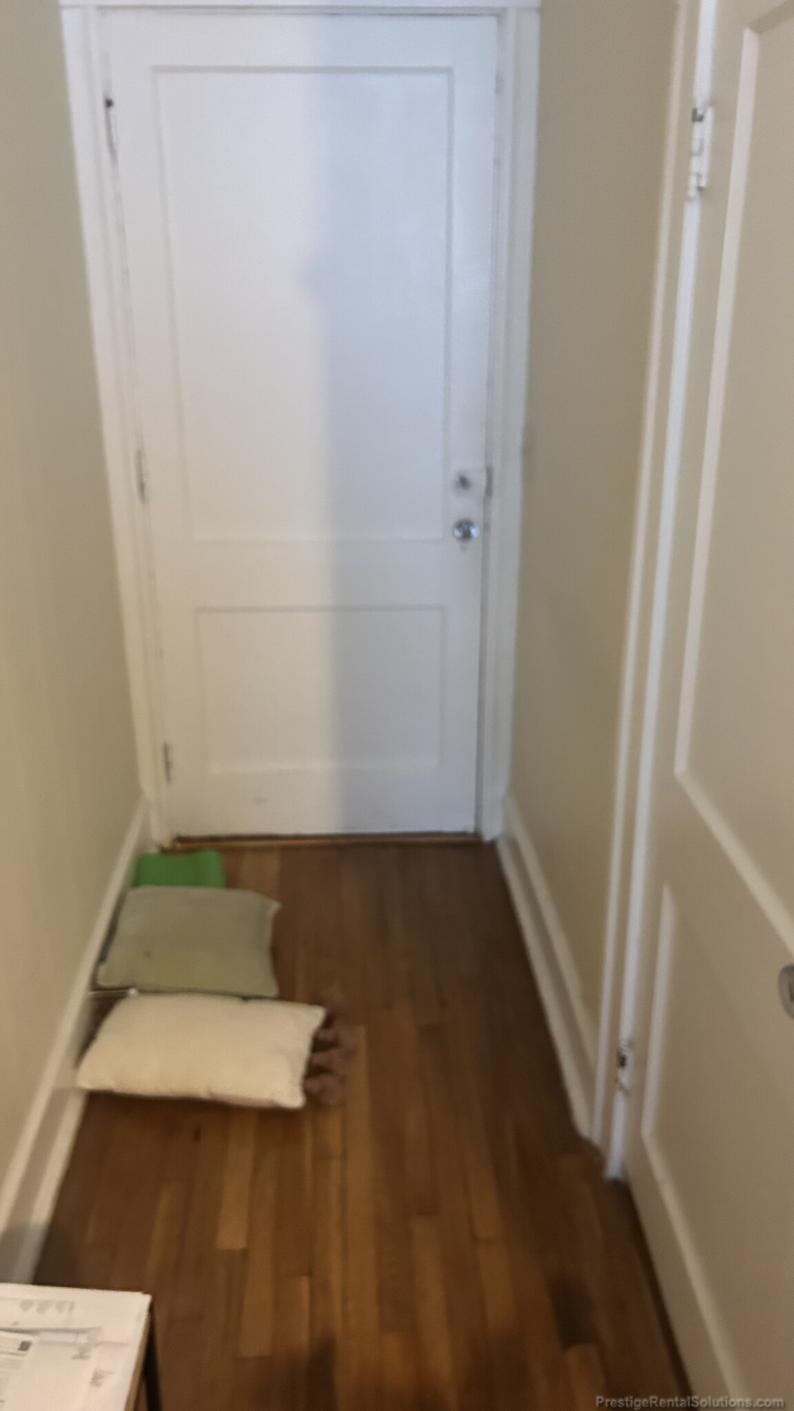 1 bed, 1 bath apartment for rent at 233 Essex St Unit 4, Melrose — photo 1 of 19