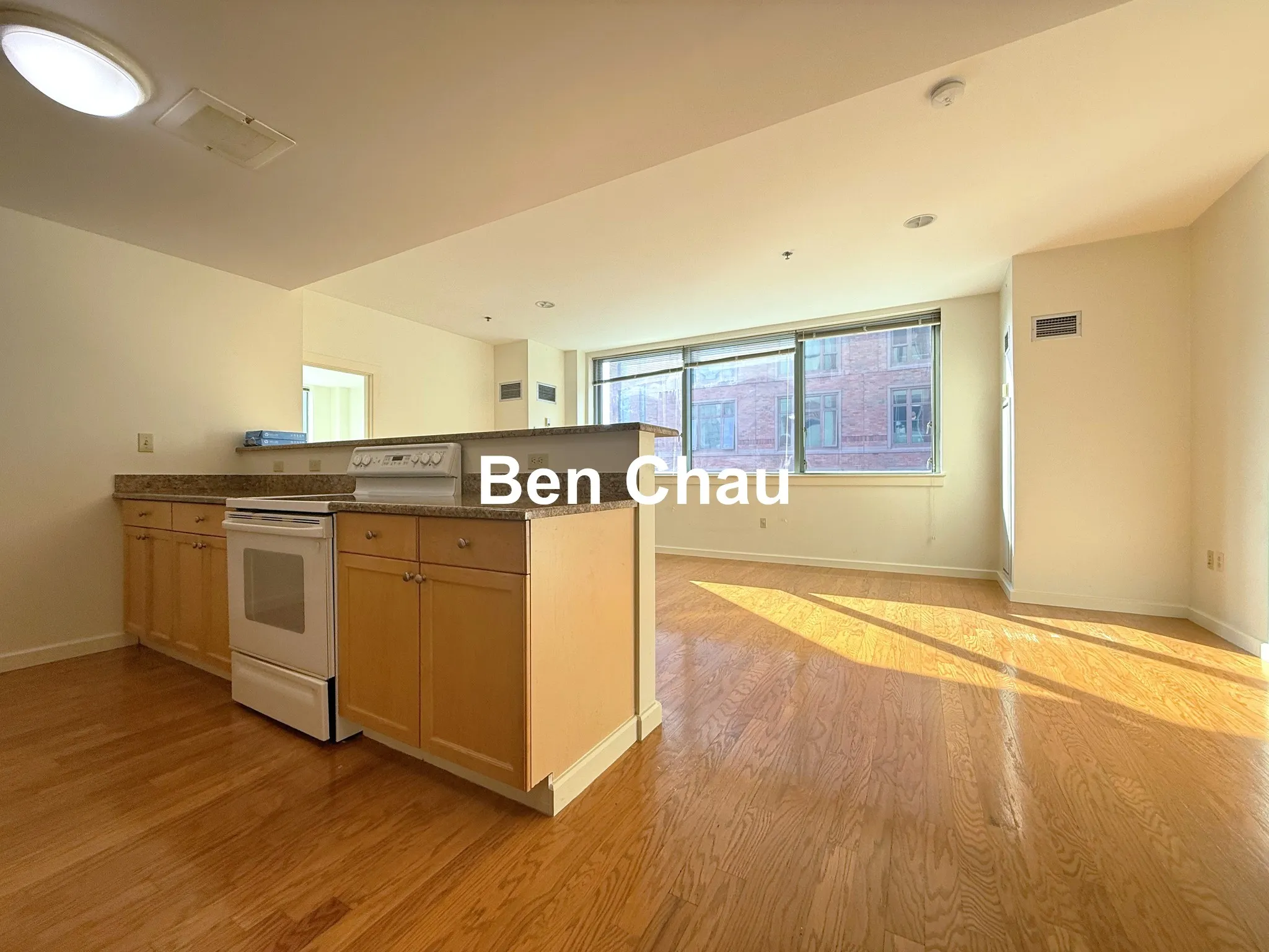1 bed, 1 bath apartment for rent at 234 Causeway St Unit 723, West End — photo 5 of 16