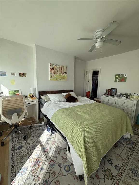 2 bed, 1 bath apartment for rent at 234 W Canton Unit 3, South End — photo 10 of 17