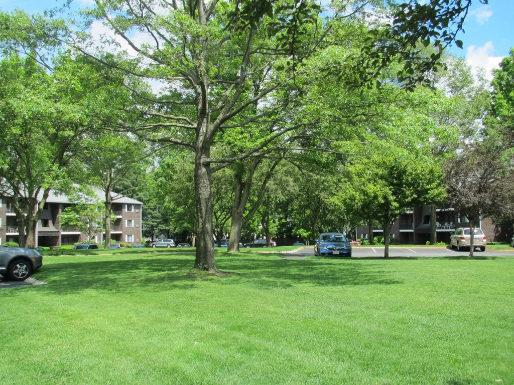 2 bed, 1 bath apartment for rent at 2340 Commonwealth Ave Unit 2-3, Newton — photo 9 of 10