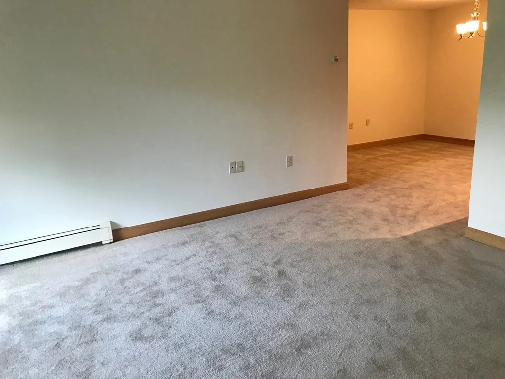 1 bed, 1 bath apartment for rent at 2344 Commonwealth Ave Unit 1-3, Newton — photo 5 of 9