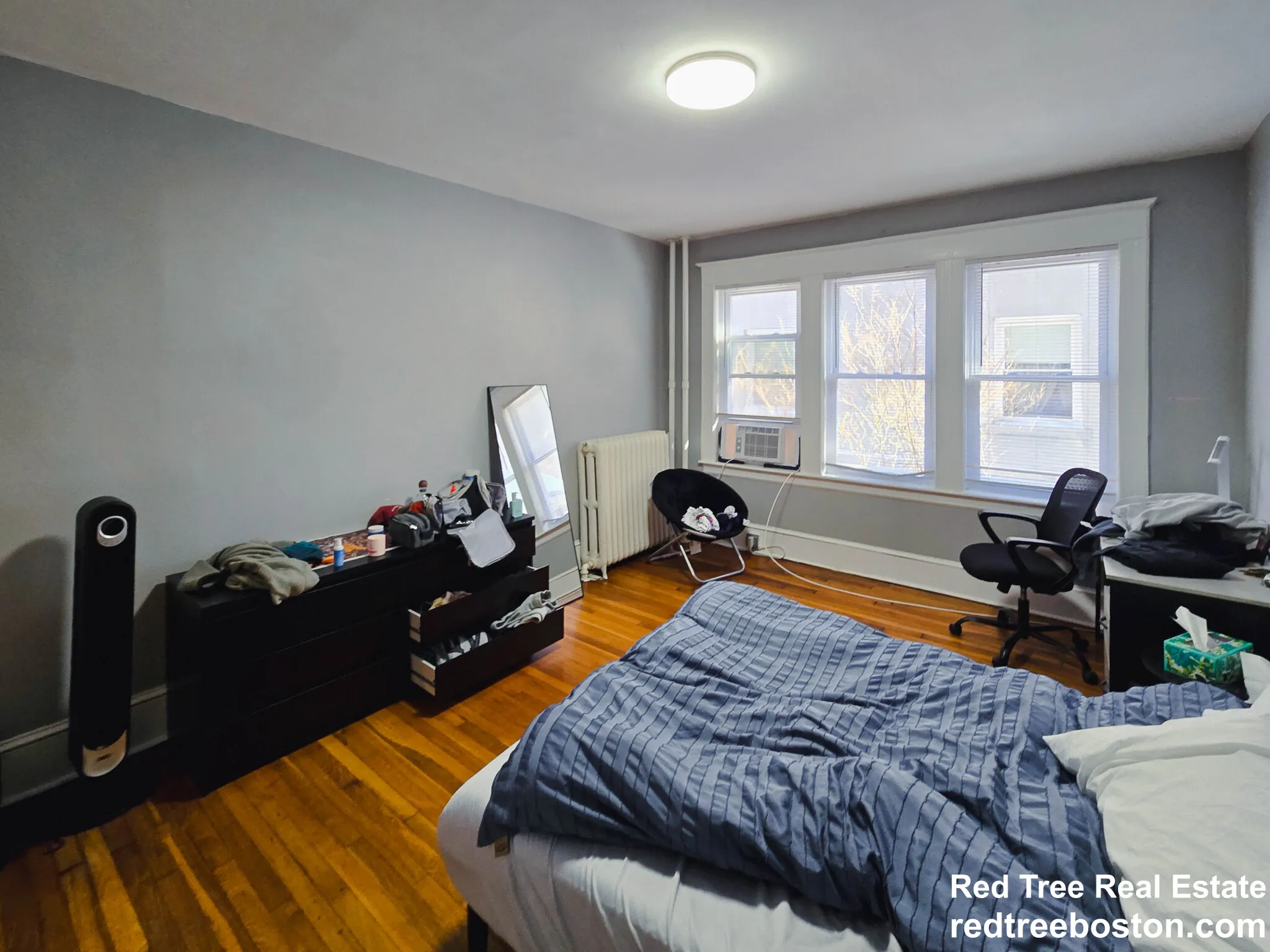 4 bed, 2 bath apartment for rent at 235 Chestnut Hill Ave Unit 1, Brighton — photo 16 of 17