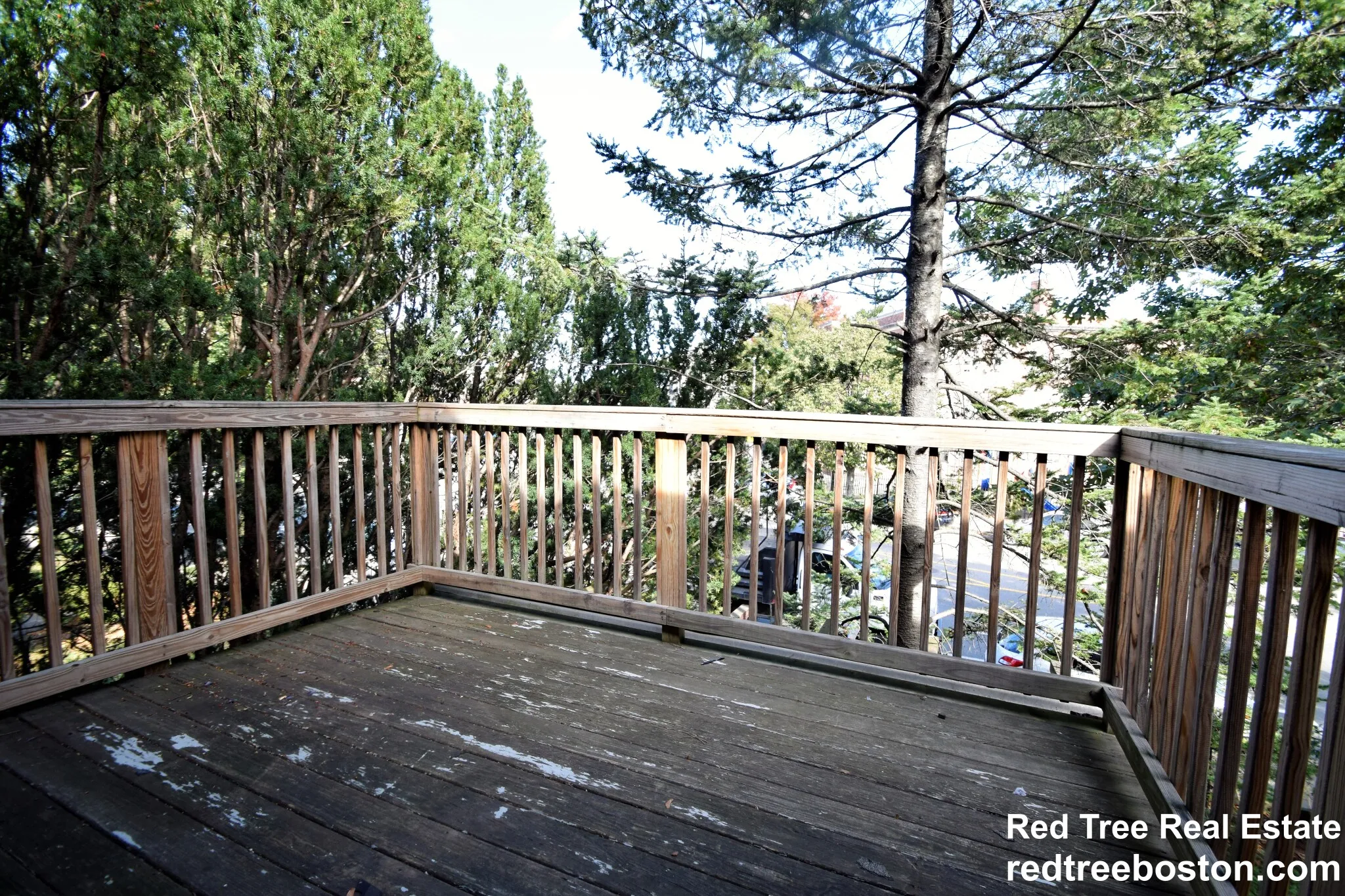 4 bed, 2 bath apartment for rent at 235 Chestnut Hill Ave Unit 2, Brighton — photo 4 of 36
