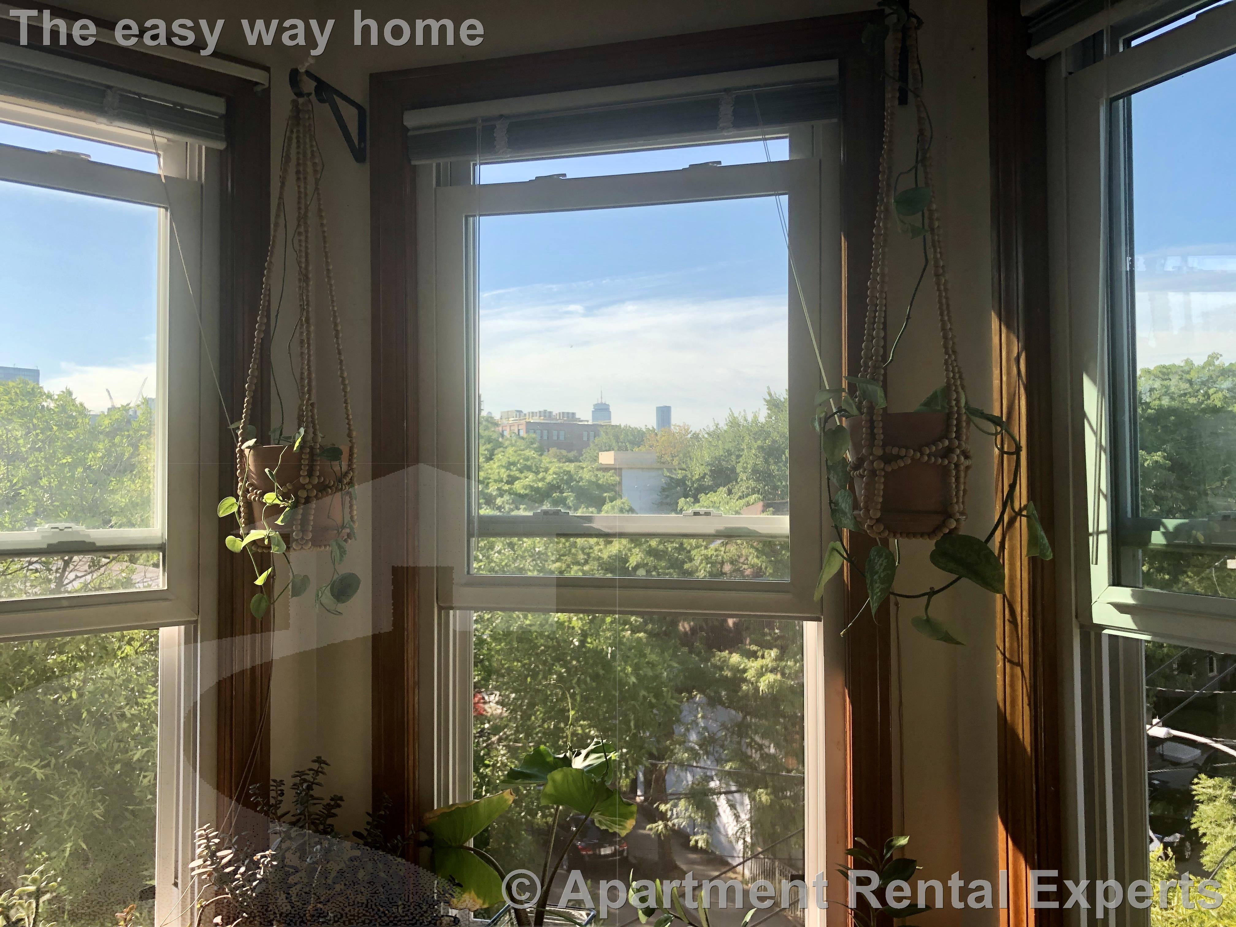 2 bed, 1 bath apartment for rent at 235 Columbia St Unit 4L, Central Square — photo 13 of 23