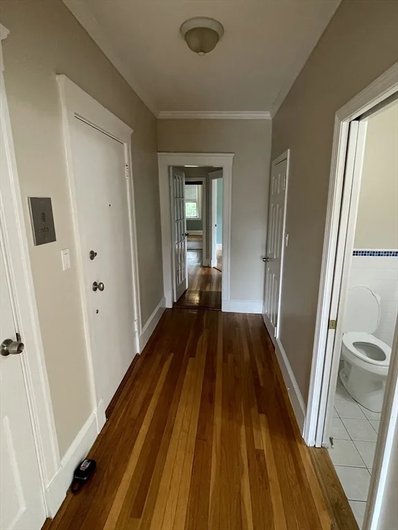 2 bed, 1 bath apartment for rent at 235 Freeman St Unit U-6, Coolidge Corner — photo 26 of 28