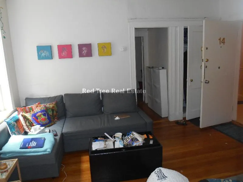 1 bed, 1 bath apartment for rent at 235 Park Dr Unit 14, Fenway — photo 4 of 11