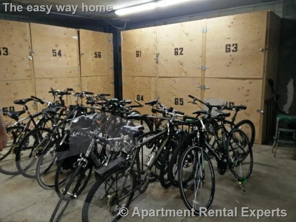 1 bed, 1 bath apartment for rent at 2353 Massachusetts Ave Unit 56, Davis Square — photo 17 of 21