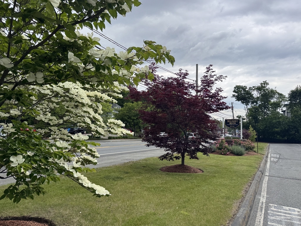 1 bed, 1 bath apartment for rent at 239 Main St Unit B-2, Reading — photo 13 of 18