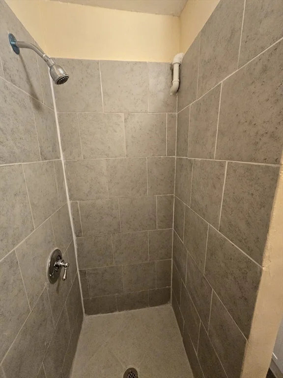 1 bed, 1 bath apartment for rent at 239 Pleasant St Unit 1, Stoughton — photo 21 of 29