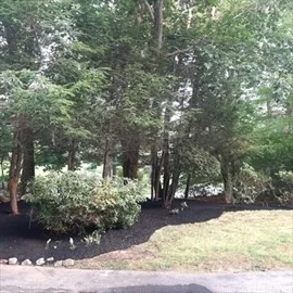 3 bed, 2 bath apartment for rent at 2399 Bay Rd Unit 2399, Sharon — photo 38 of 38