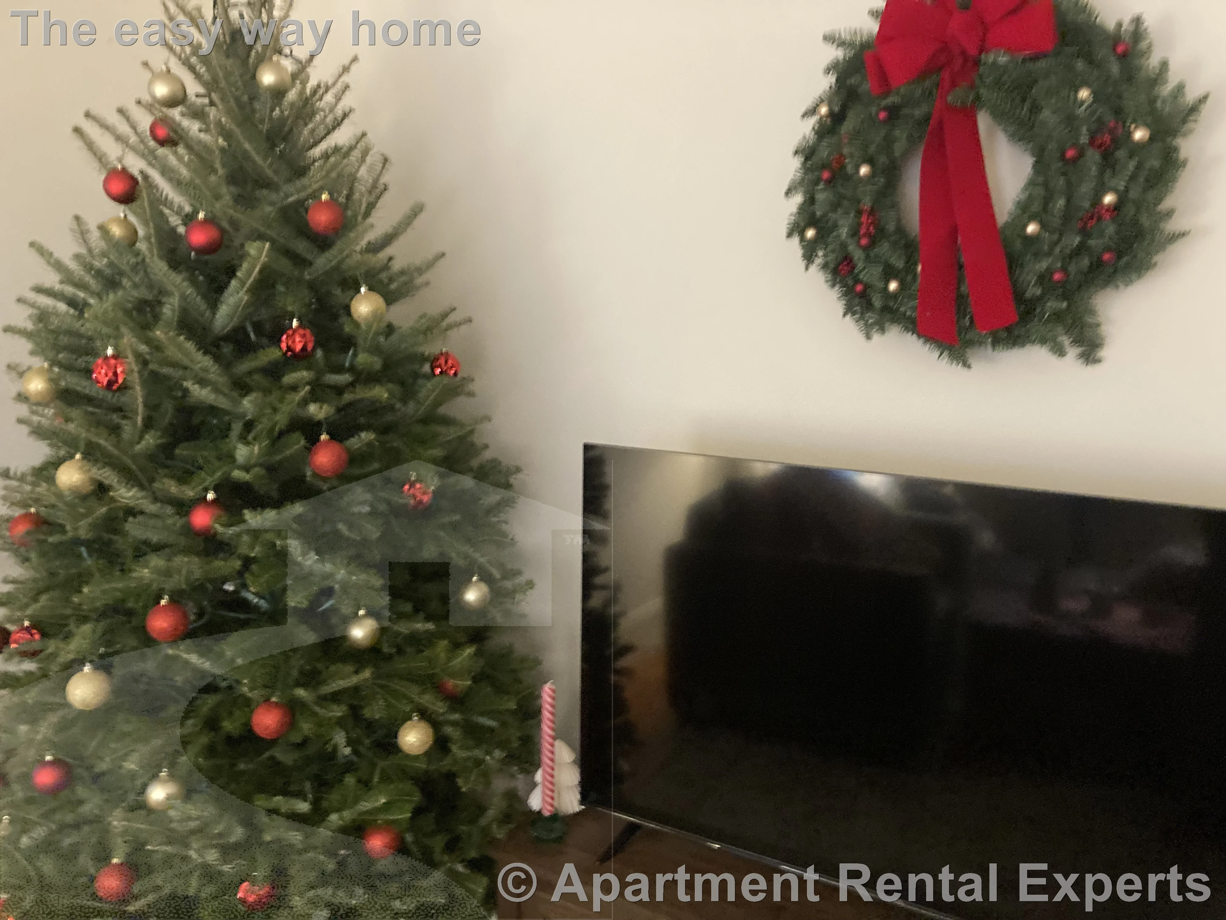 3 bed, 1 bath apartment for rent at 24 Central Rd Unit 2, Spring Hill — photo 9 of 9