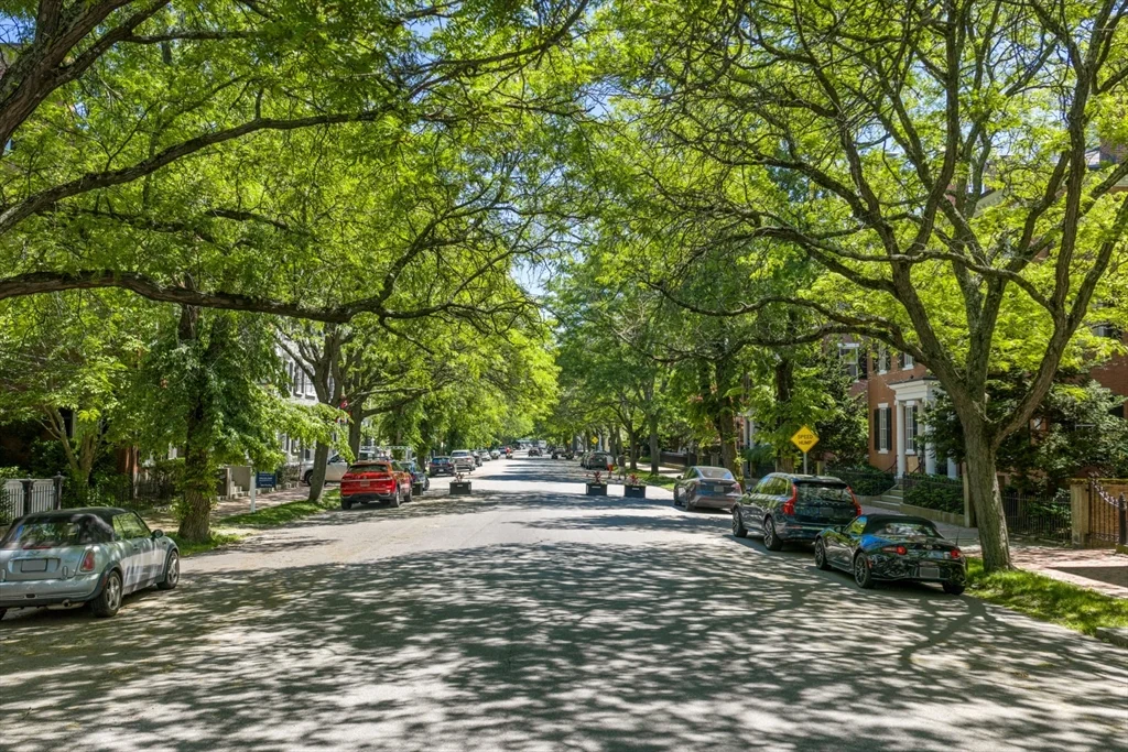 4 bed, 2 bath apartment for rent at 24 Chestnut St Unit 2, McIntire Historic District — photo 41 of 41