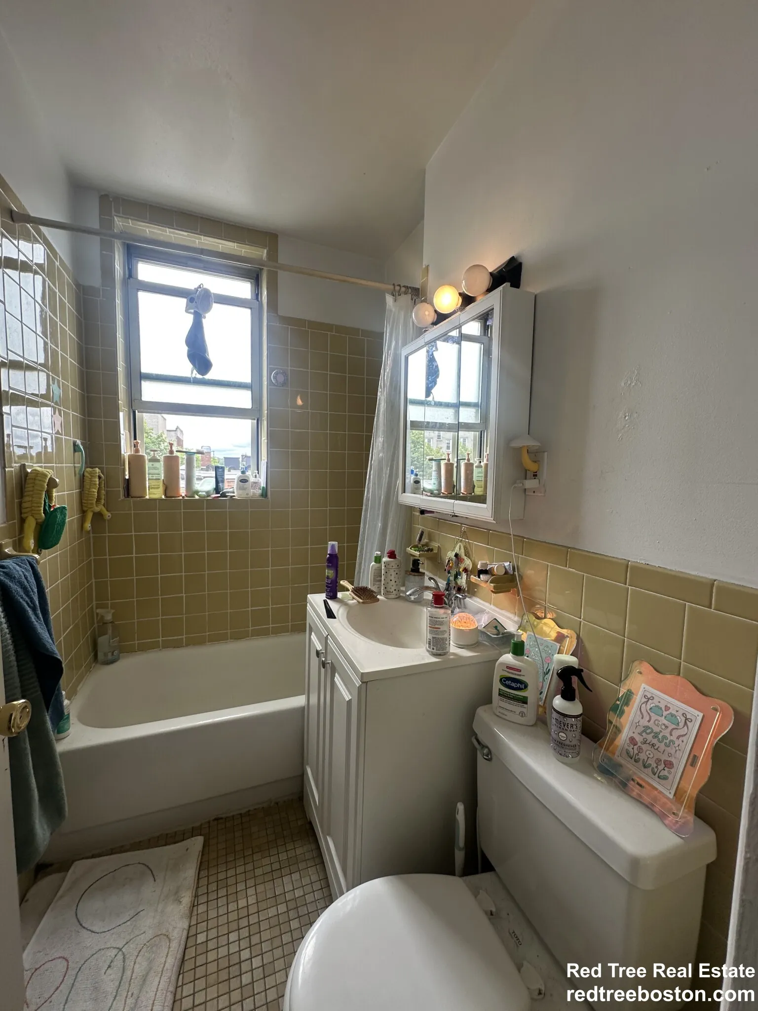 1 bed, 1 bath apartment for rent at 24 Colborne Rd Unit 23, Brighton — photo 2 of 14