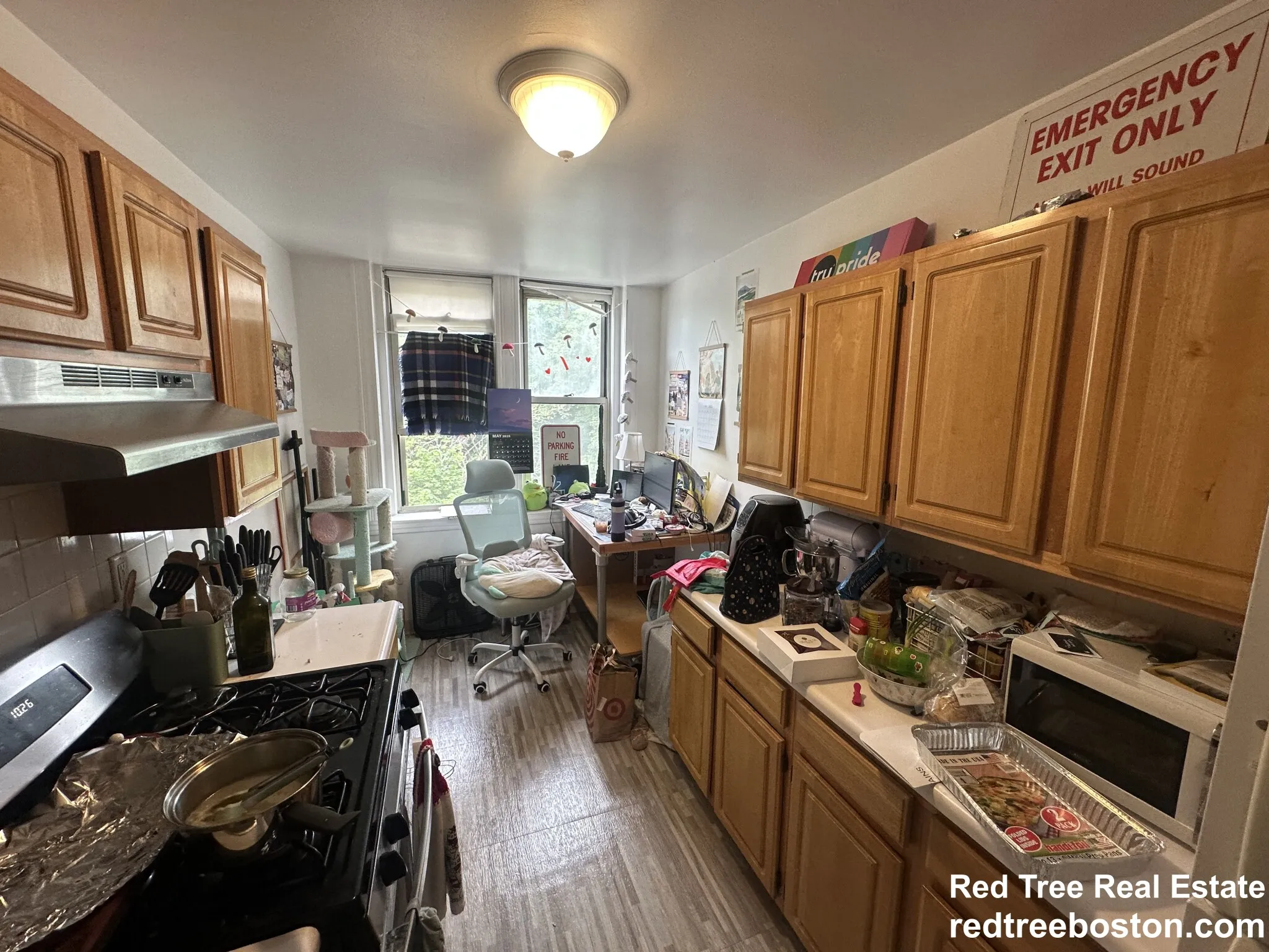 1 bed, 1 bath apartment for rent at 24 Colborne Rd Unit 23, Brighton — photo 5 of 14