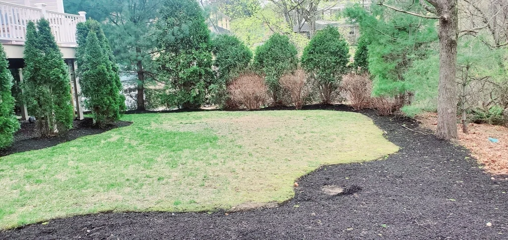 3 bed, 3 bath apartment for rent at 24 Elm Unit 0, Dedham — photo 9 of 42