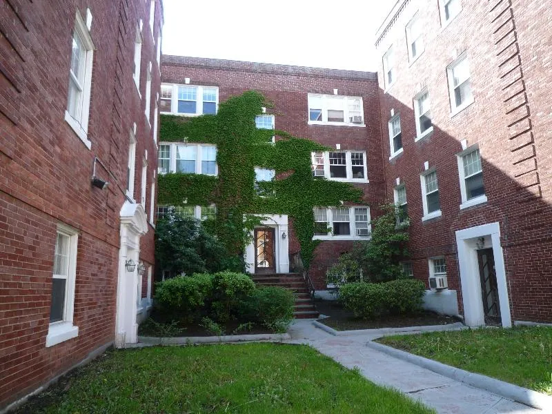 2 bed, 1 bath apartment for rent at 24 Fairbanks St Unit 3, Brookline — photo 12 of 12