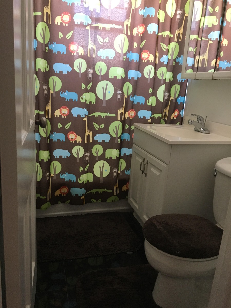 1 bed, 1 bath apartment for rent at 24 Fairbanks St Unit 6, Brookline — photo 17 of 18