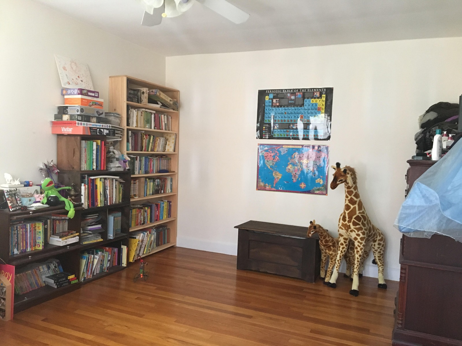 1 bed, 1 bath apartment for rent at 24 Fairbanks St Unit 6, Brookline — photo 16 of 18