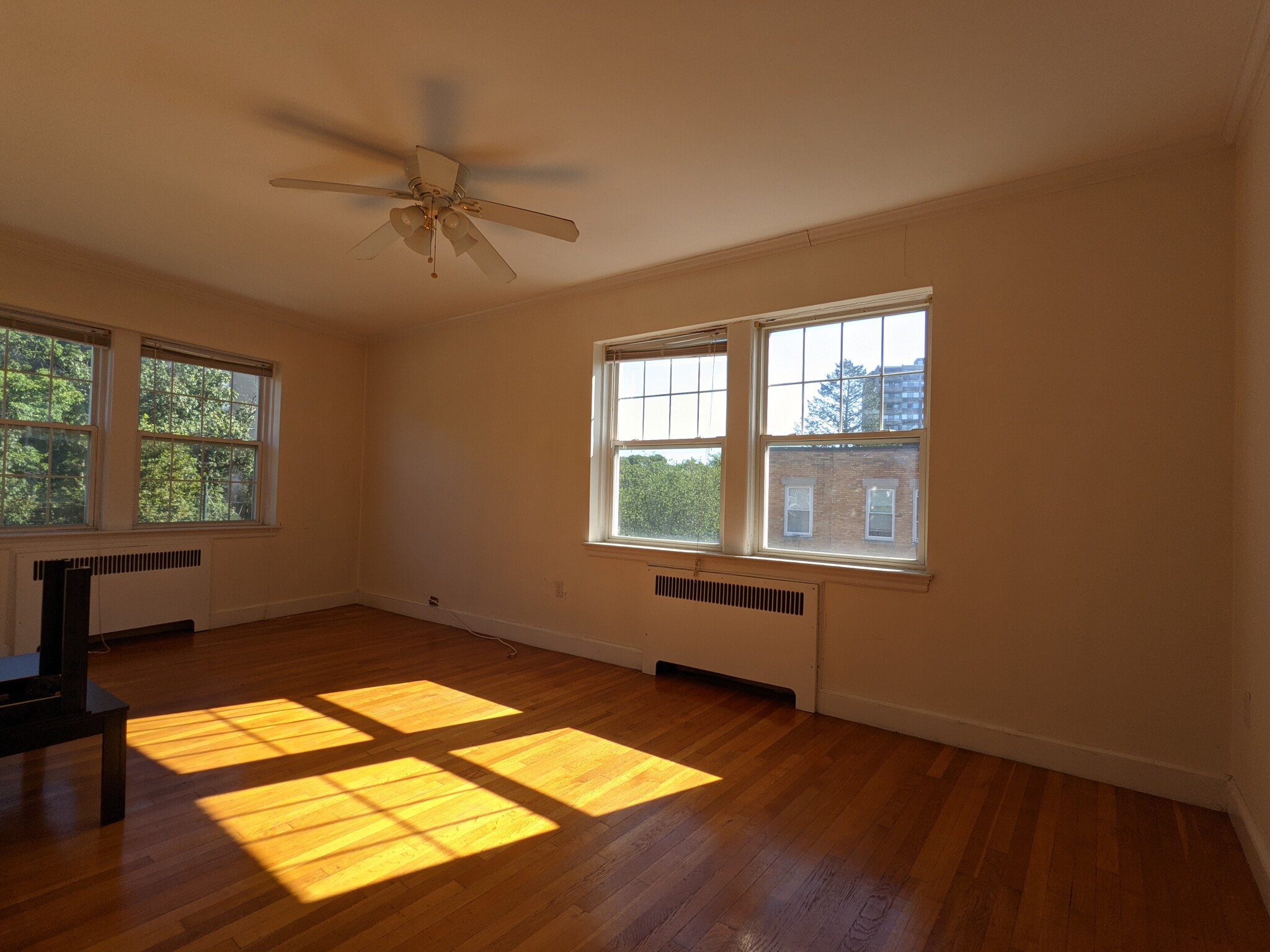 1 bed, 1 bath apartment for rent at 24 Fairbanks St Unit 6, Brookline — photo 4 of 18