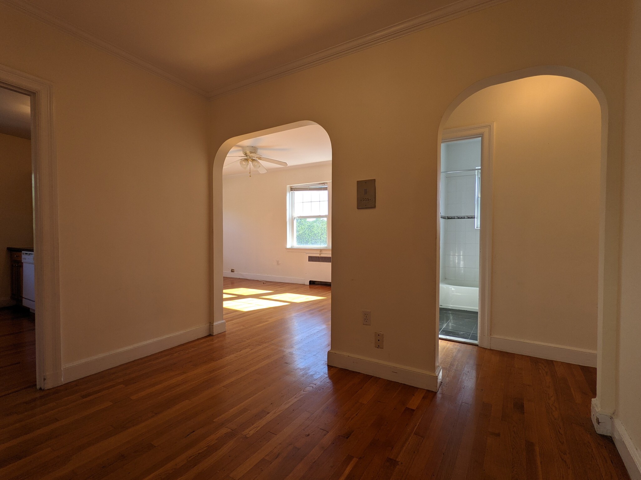 1 bed, 1 bath apartment for rent at 24 Fairbanks St Unit 6, Brookline — photo 2 of 18