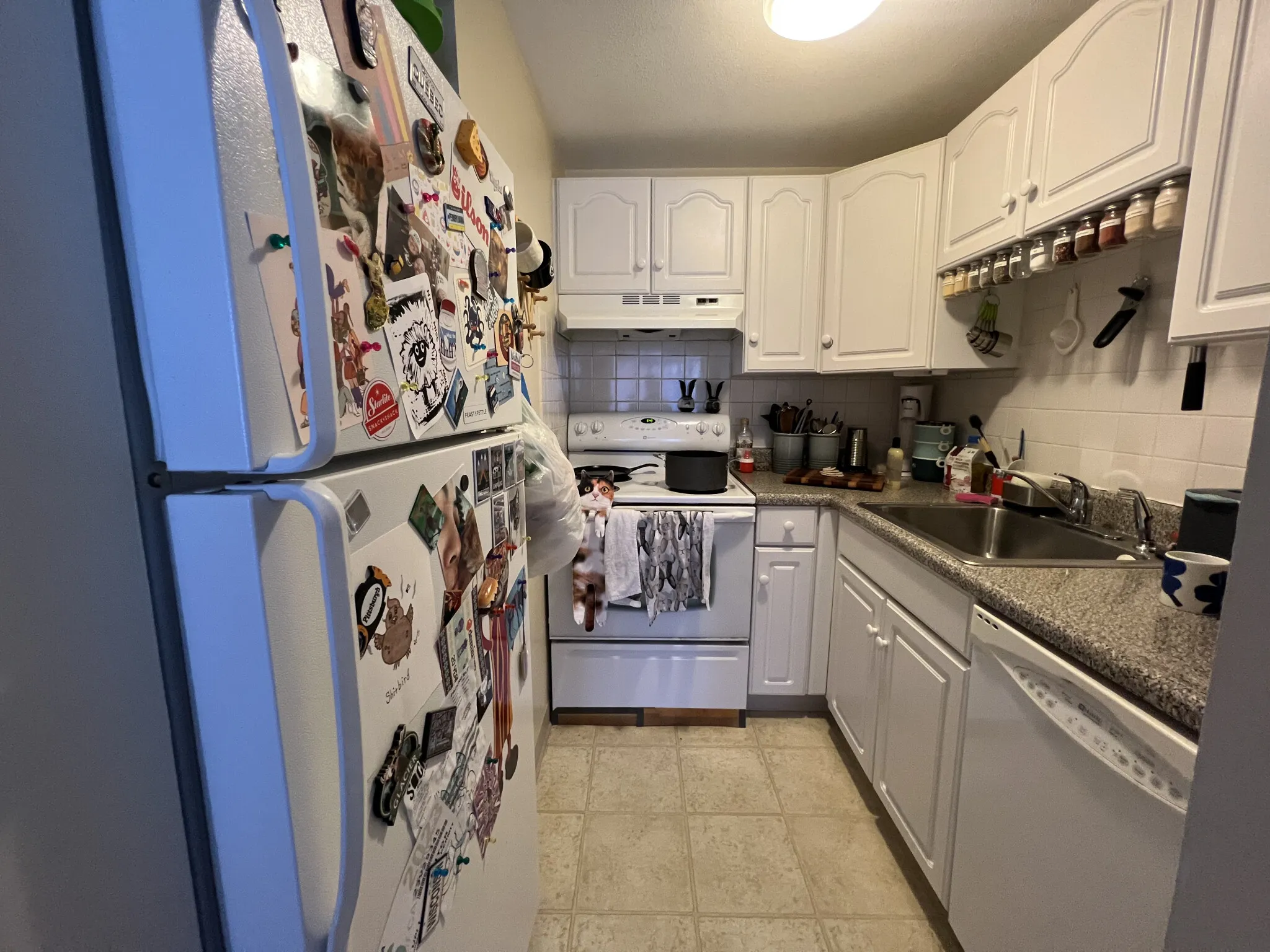 1 bed, 1.5 bath apartment for rent at 24 Highland Ave Unit 17, Mid Cambridge — photo 3 of 10