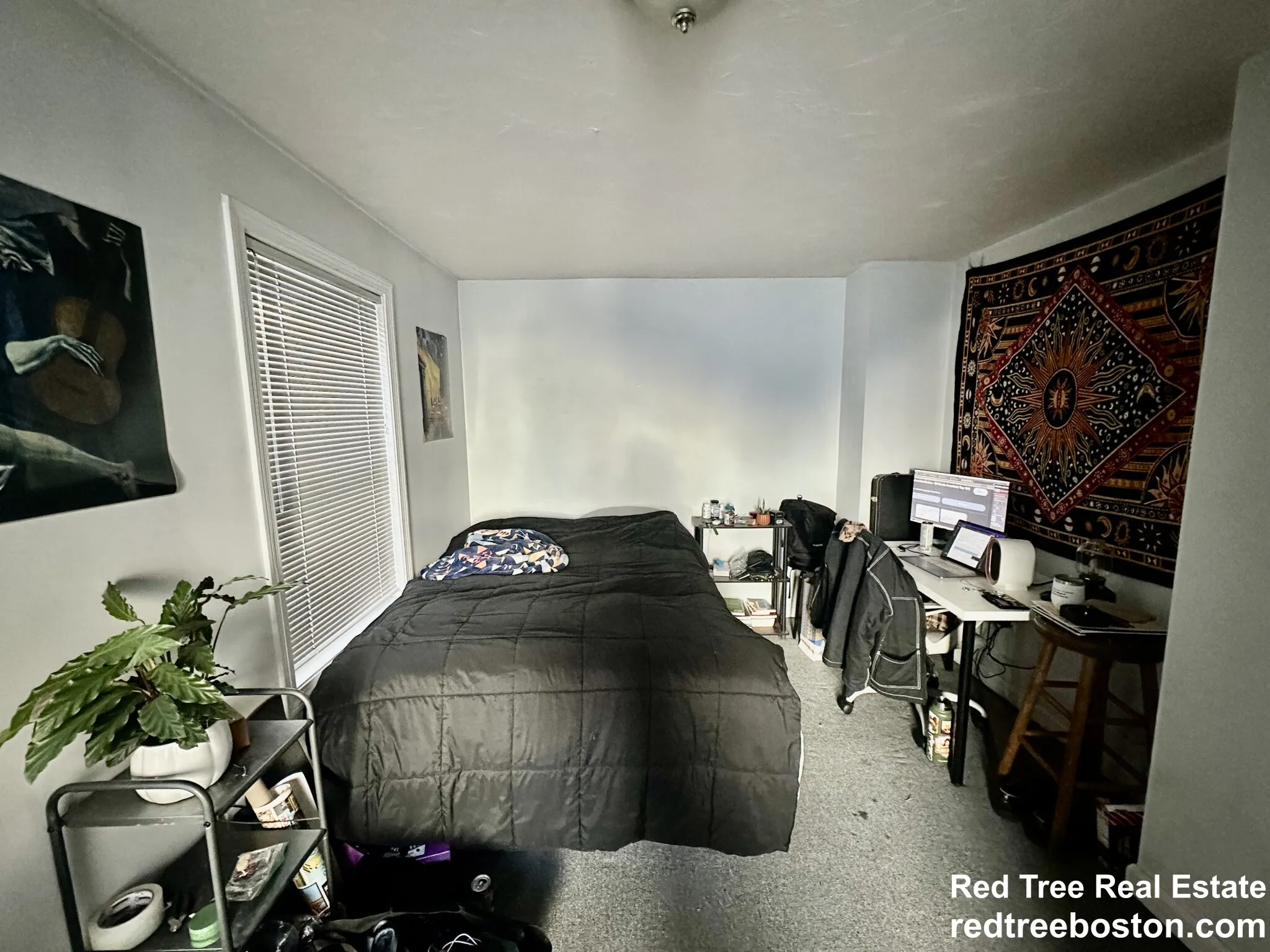 4 bed, 2.5 bath apartment for rent at 24 Lawn St Unit 24-1, Mission Hill — photo 5 of 17