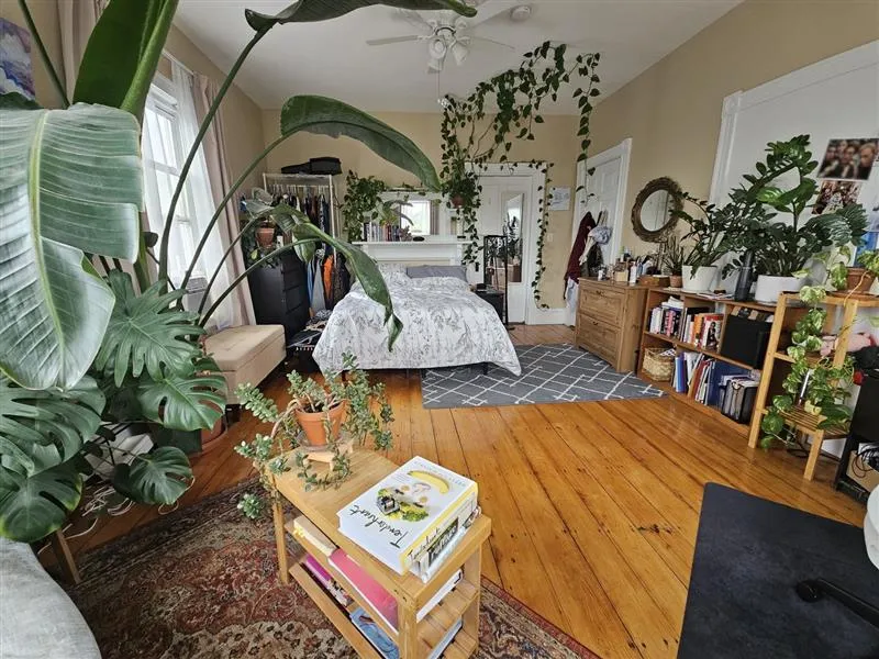 2 bed, 1 bath apartment for rent at 24 Linden Ave Unit 3, Spring Hill — photo 9 of 23