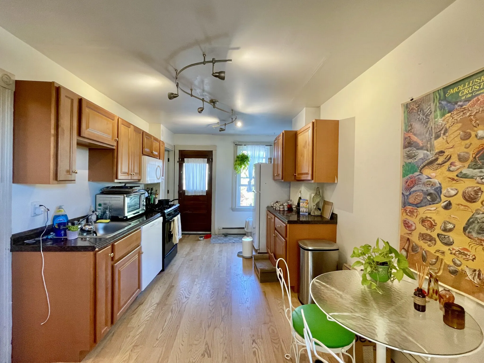 2 bed, 1 bath apartment for rent at 24 Mead St Unit 2, Allston — photo 3 of 8