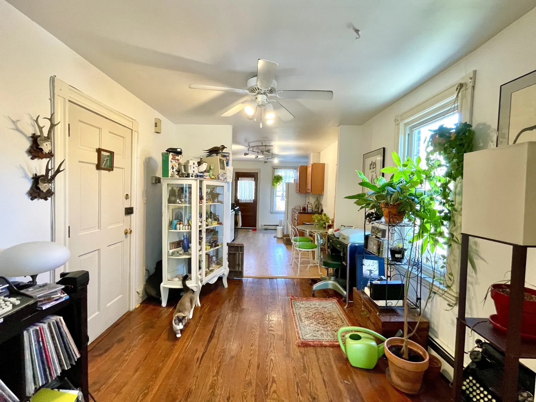 2 bed, 1 bath apartment for rent at 24 Mead St Unit 2, Allston — photo 4 of 8