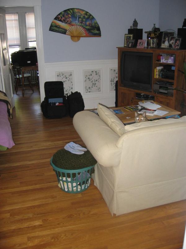 3 bed, 1 bath apartment for rent at 24 Oak Square Ave Unit 2, Oak Square — photo 21 of 36